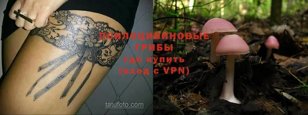 кокаин Богородицк