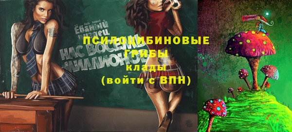 кокаин Богородицк
